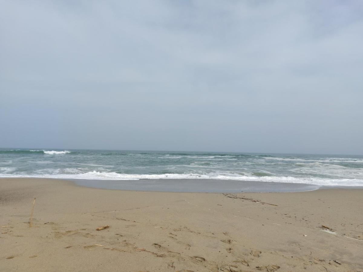 Saint Cyprien - Appart - Piscine-Mer ภายนอก รูปภาพ